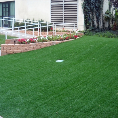 Fake Turf Schofield Barracks, Hawaii How To Build A Putting Green, Front Yard Landscaping