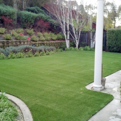 Grass Carpet Launiupoko, Hawaii Lawn And Garden, Backyard Garden Ideas