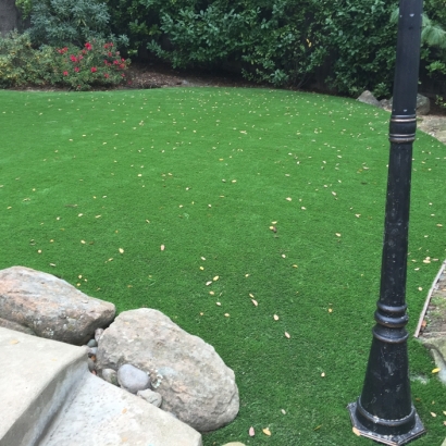 Grass Turf Kaneohe Station, Hawaii Roof Top, Small Backyard Ideas