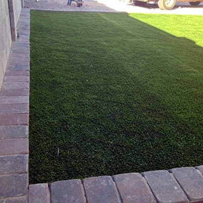 Green Lawn Fern Acres, Hawaii Pet Turf, Front Yard Design