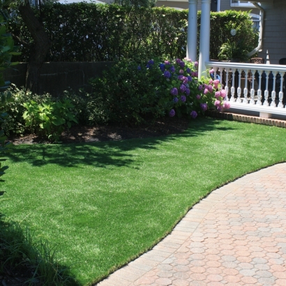 How To Install Artificial Grass Makawao, Hawaii Dog Running, Front Yard Landscaping