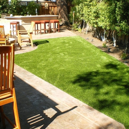 Installing Artificial Grass Hana, Hawaii Dog Hospital, Backyard Landscaping