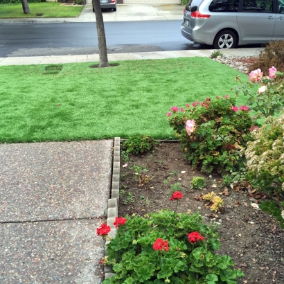 Outdoor Carpet Lihue, Hawaii Dog Run, Front Yard Landscaping Ideas