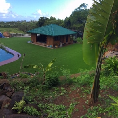 Plastic Grass Wailua, Hawaii Backyard Playground, Swimming Pools