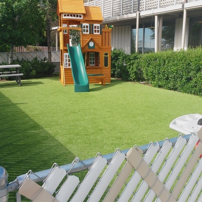 Plastic Grass Wailuku, Hawaii Lawn And Landscape, Backyard Landscape Ideas