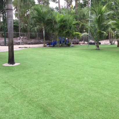 Synthetic Grass Cost Puhi, Hawaii Garden Ideas, Commercial Landscape