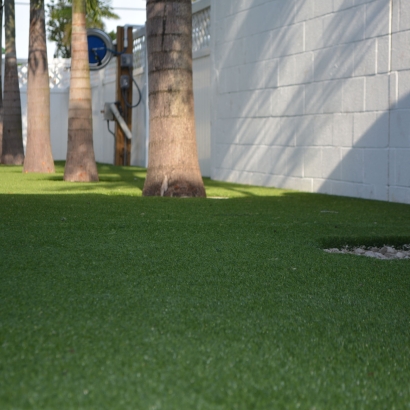 Synthetic Grass Haleiwa, Hawaii Landscape Ideas, Commercial Landscape