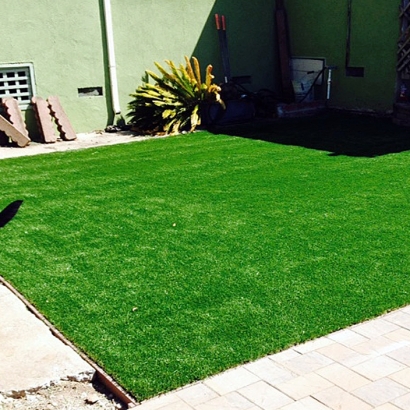 Synthetic Grass Kilauea, Hawaii Gardeners, Dogs Runs