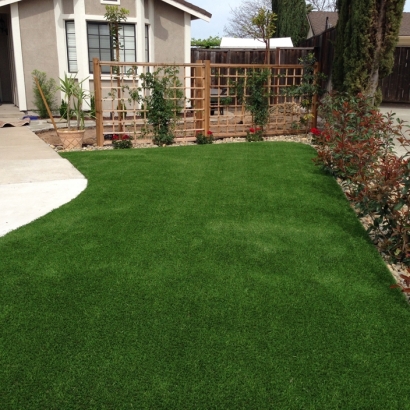 Synthetic Grass Lihue, Hawaii Backyard Playground, Front Yard Landscape Ideas
