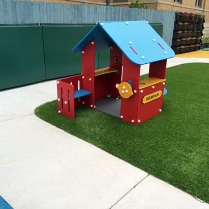 Synthetic Grass Poipu, Hawaii Indoor Playground, Commercial Landscape