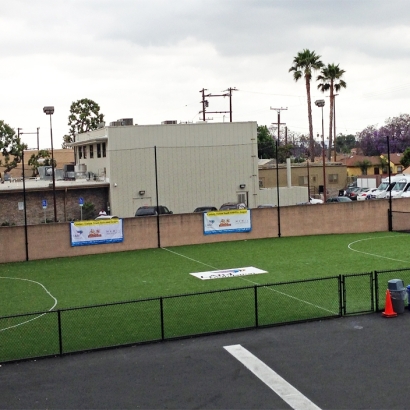 Synthetic Lawn Kahaluu-Keauhou, Hawaii High School Sports, Commercial Landscape