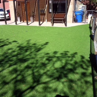 Synthetic Lawn Kaneohe, Hawaii City Landscape, Backyard Garden Ideas