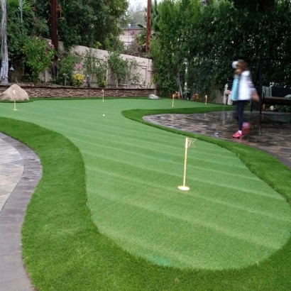 Synthetic Lawn Pearl City, Hawaii Putting Green Carpet, Backyard Garden Ideas