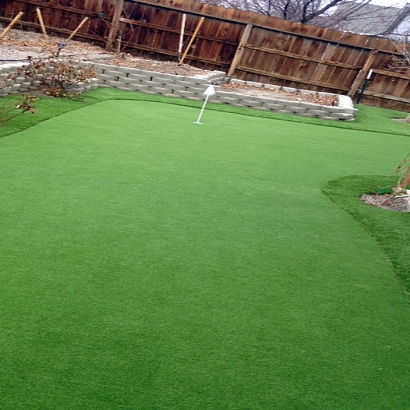 Synthetic Lawn Ualapue, Hawaii Indoor Putting Greens, Backyard Design