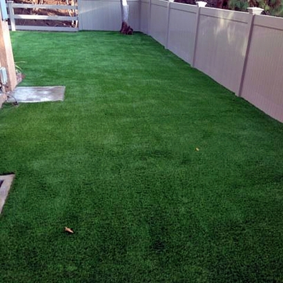 Synthetic Lawn Wailua Homesteads, Hawaii Fake Grass For Dogs, Small Backyard Ideas