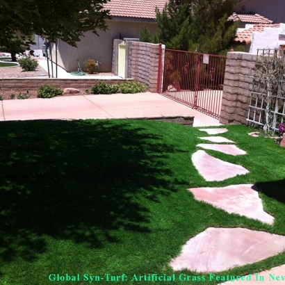 Synthetic Turf Halawa, Hawaii Dog Park, Front Yard Ideas