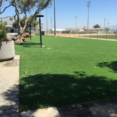 Synthetic Turf Honokaa, Hawaii Landscape Ideas, Recreational Areas