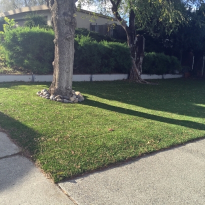 Synthetic Turf Honomu, Hawaii Roof Top, Front Yard Landscaping