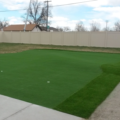 Synthetic Turf Kalaheo, Hawaii Outdoor Putting Green, Backyard Landscape Ideas