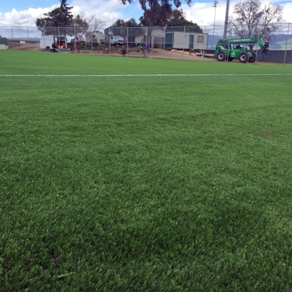 Synthetic Turf Kawela Bay, Hawaii Sports Turf