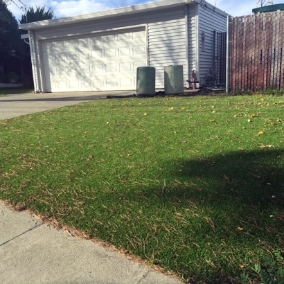 Synthetic Turf Maalaea, Hawaii Roof Top, Small Front Yard Landscaping