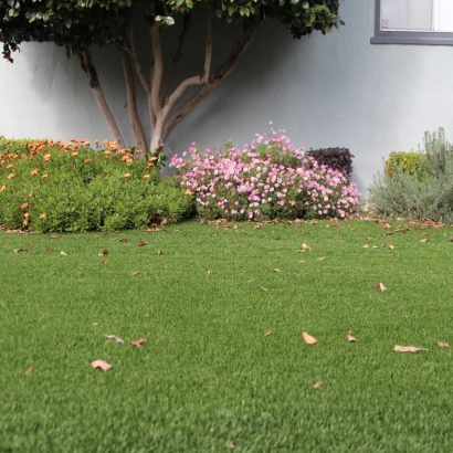 Synthetic Turf Supplier Kailua-Kona, Hawaii Landscape Design, Landscaping Ideas For Front Yard