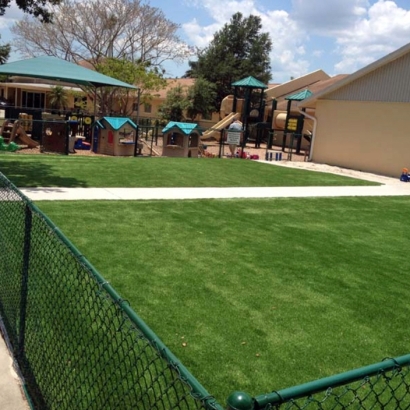 Synthetic Turf Supplier Laie, Hawaii Indoor Playground, Commercial Landscape
