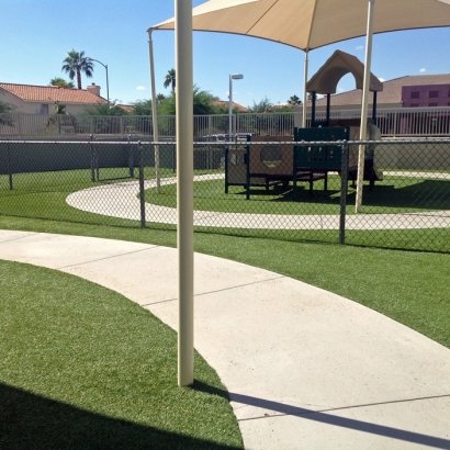 Synthetic Turf Supplier Waikoloa Village, Hawaii Gardeners, Commercial Landscape