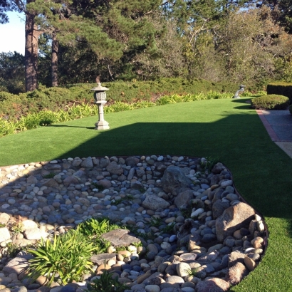 Synthetic Turf Waikoloa, Hawaii Hotel For Dogs, Backyards