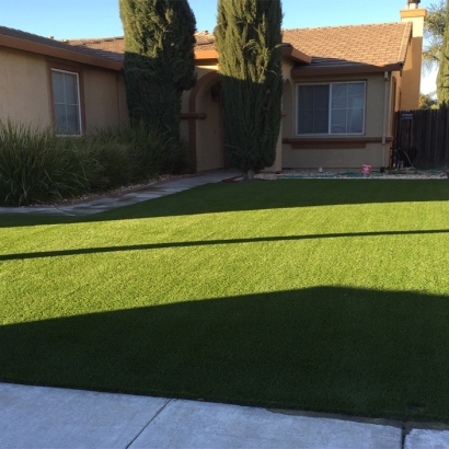 Synthetic Turf Waipio, Hawaii Garden Ideas, Small Front Yard Landscaping