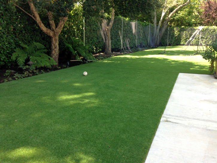 Artificial Grass Carpet Kapaa, Hawaii Landscaping Business