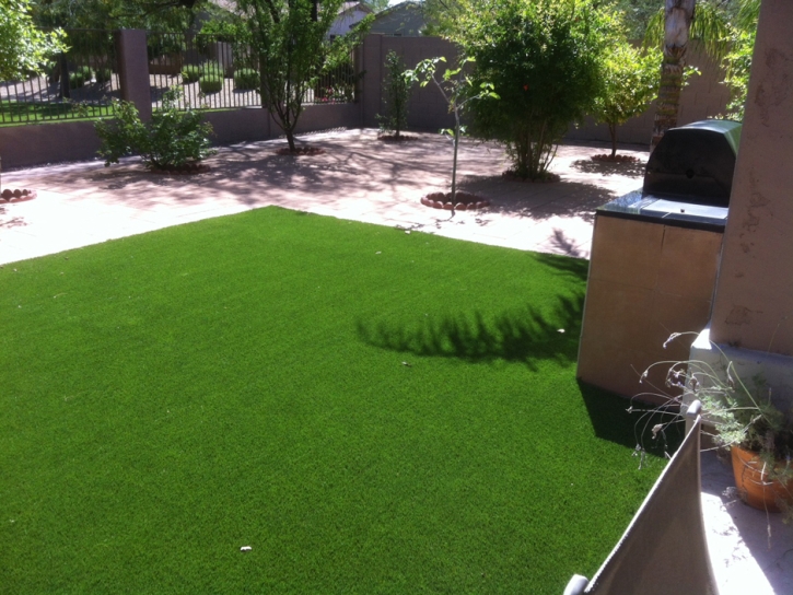 Artificial Grass Carpet Waikoloa Village, Hawaii Garden Ideas, Backyard Landscape Ideas