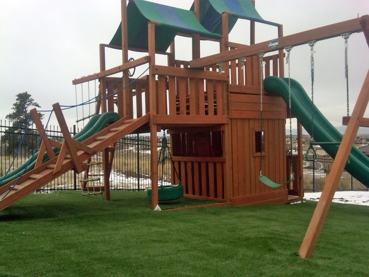 Artificial Grass Carpet Waimea, Hawaii Upper Playground