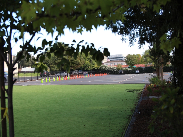 Artificial Grass Halawa, Hawaii Athletic Playground, Commercial Landscape