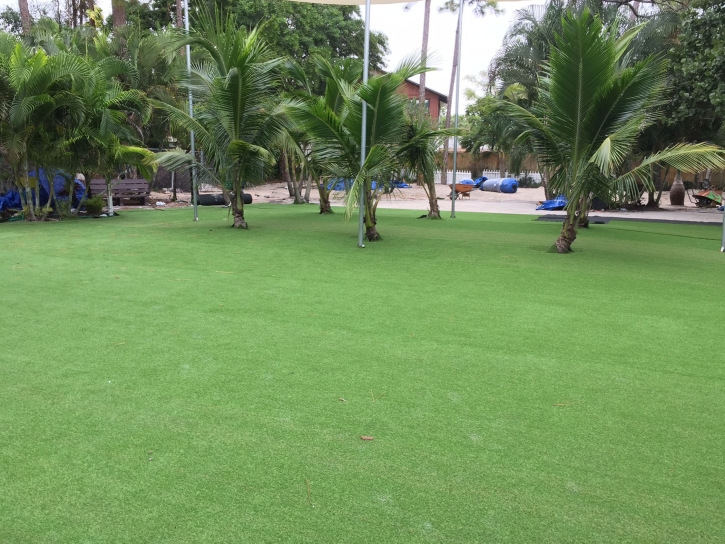 Artificial Grass Kahuku, Hawaii Landscape Design, Commercial Landscape