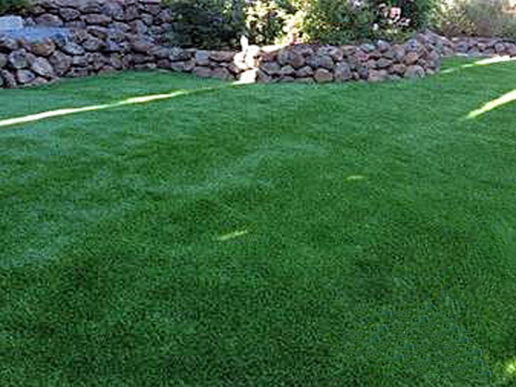 Artificial Grass Kailua-Kona, Hawaii Gardeners, Beautiful Backyards