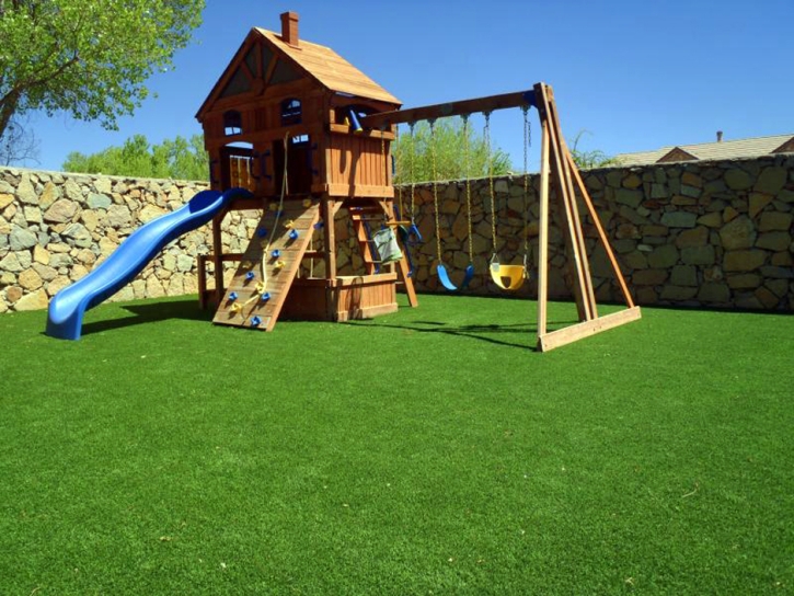 Artificial Grass Kihei, Hawaii Garden Ideas, Backyard Landscaping Ideas