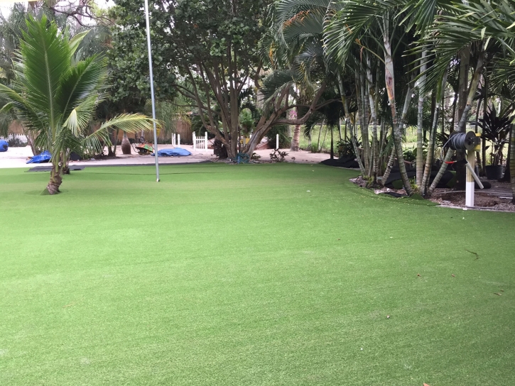 Artificial Lawn Waikapu, Hawaii Backyard Playground, Commercial Landscape