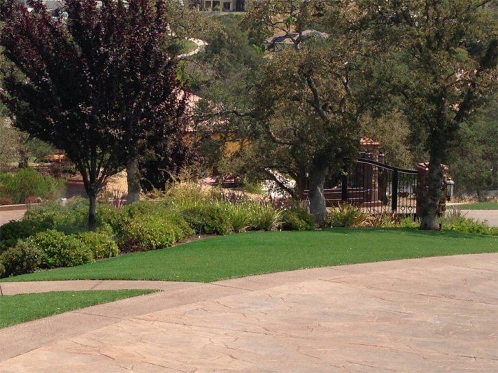 Artificial Lawn Waimalu, Hawaii Landscaping, Backyard Landscaping