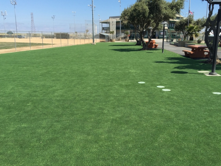Artificial Turf Anahola, Hawaii Landscape Rock, Recreational Areas