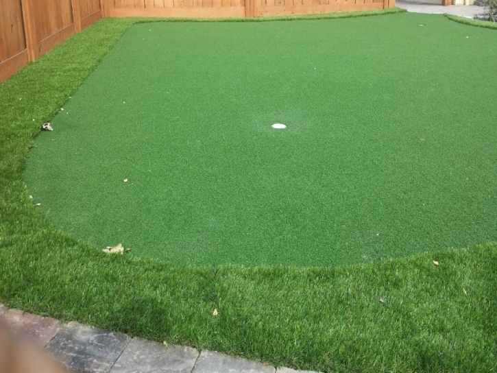 Artificial Turf Cost Holualoa, Hawaii Best Indoor Putting Green