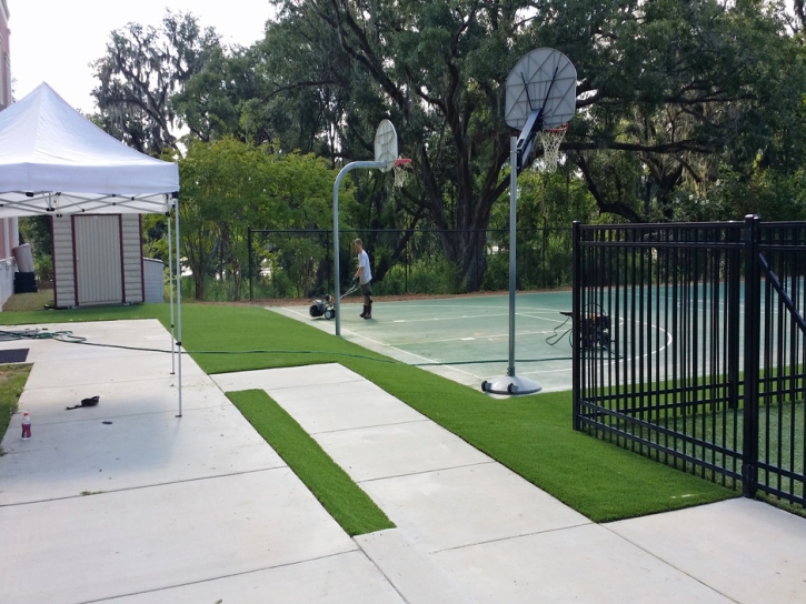 Artificial Turf Cost Village Park, Hawaii Landscape Ideas, Commercial Landscape