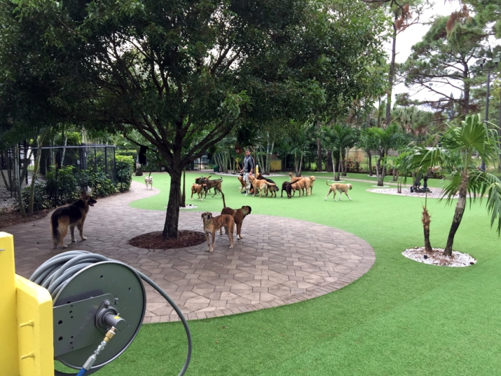 Artificial Turf Installation Nanawale Estates, Hawaii Grass For Dogs, Commercial Landscape