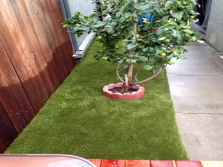 Artificial Turf Installation Paukaa, Hawaii Dog Running, Backyard Landscaping