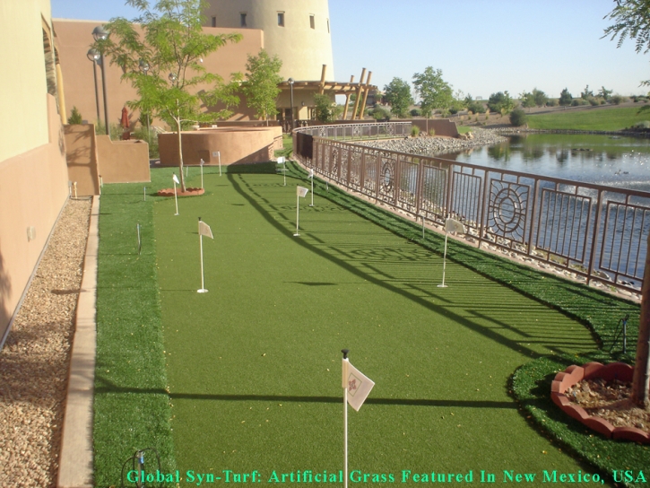 Artificial Turf Kailua, Hawaii Putting Green Flags, Backyard Ideas