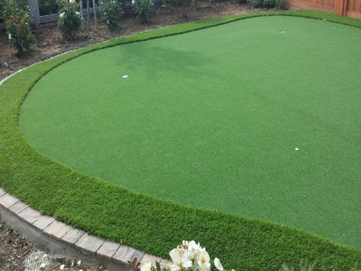 Artificial Turf Kapaau, Hawaii Putting Green Flags, Backyard