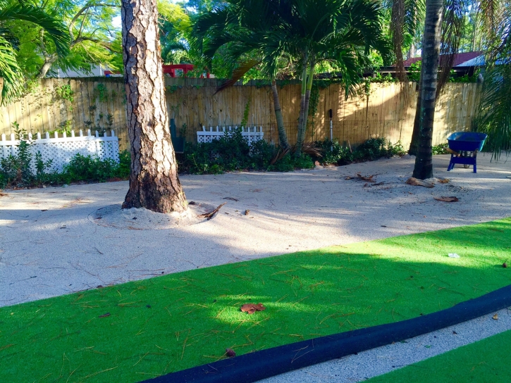 Artificial Turf Kaunakakai, Hawaii Roof Top, Parks