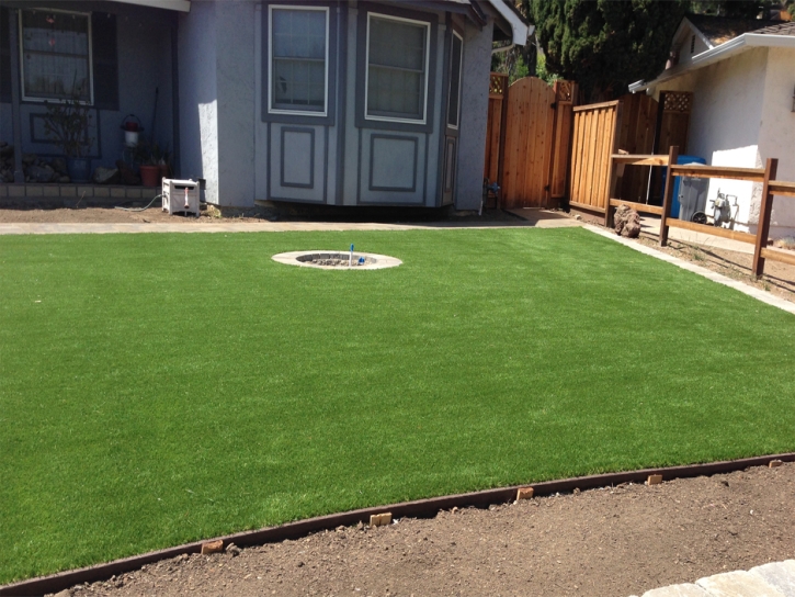 Artificial Turf Lahaina, Hawaii Landscape Rock, Backyard Ideas