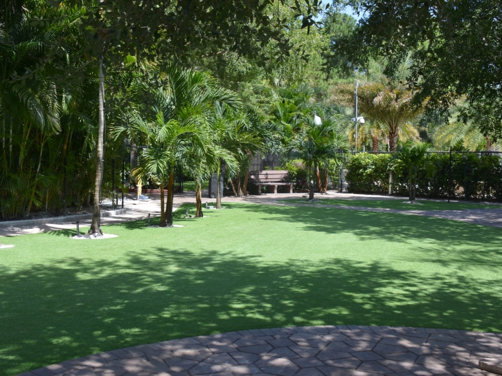 Best Artificial Grass Waimanalo Beach, Hawaii Backyard Playground, Pavers