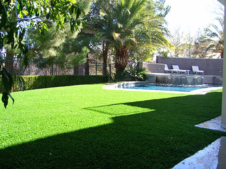 Fake Grass Carpet Haiku-Pauwela, Hawaii Landscape Rock, Backyard Design